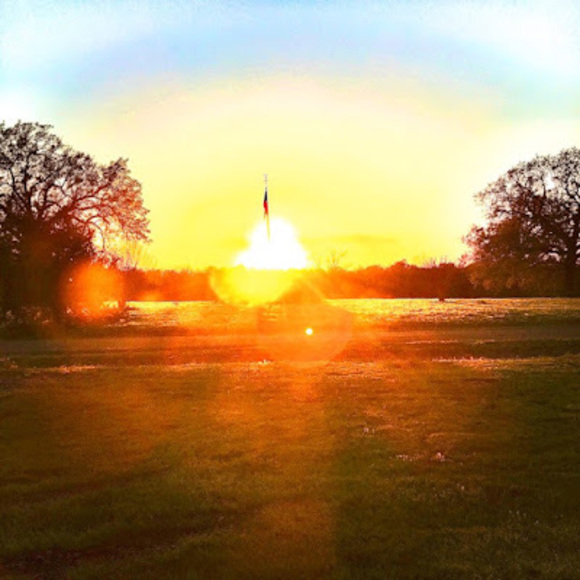 Meet your Posher, Goonbuka - Picture 1 of 1